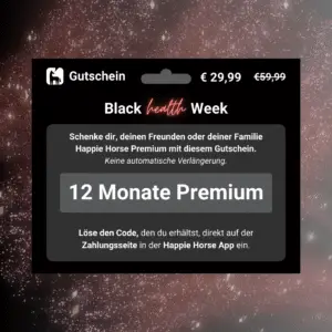 12 Monate Premium (ohne Abo)