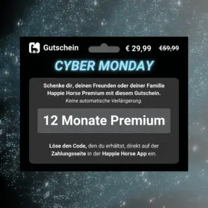 12 Monate Premium (ohne Abo)