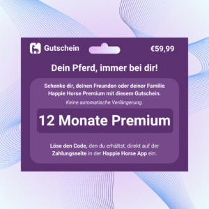 12 Monate Premium (ohne Abo)
