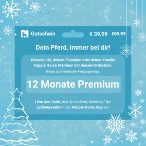 12 Monate Premium (ohne Abo)