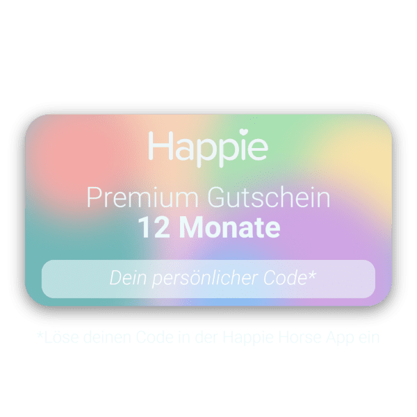 12 Monate Premium (ohne Abo)