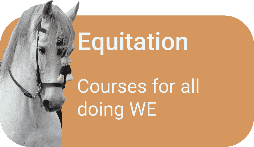 Working Equitation courses and training set-ups