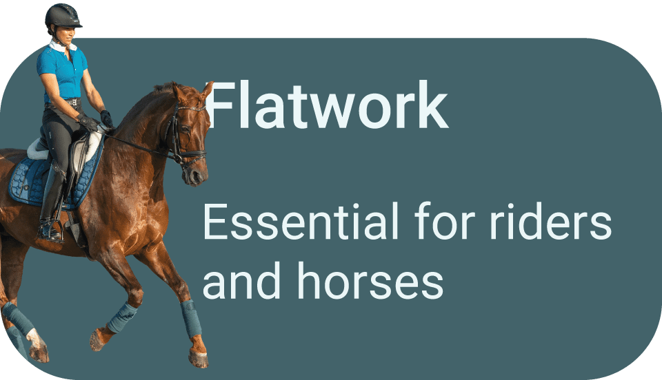 Dressage and flatwork training ideas for horse and rider