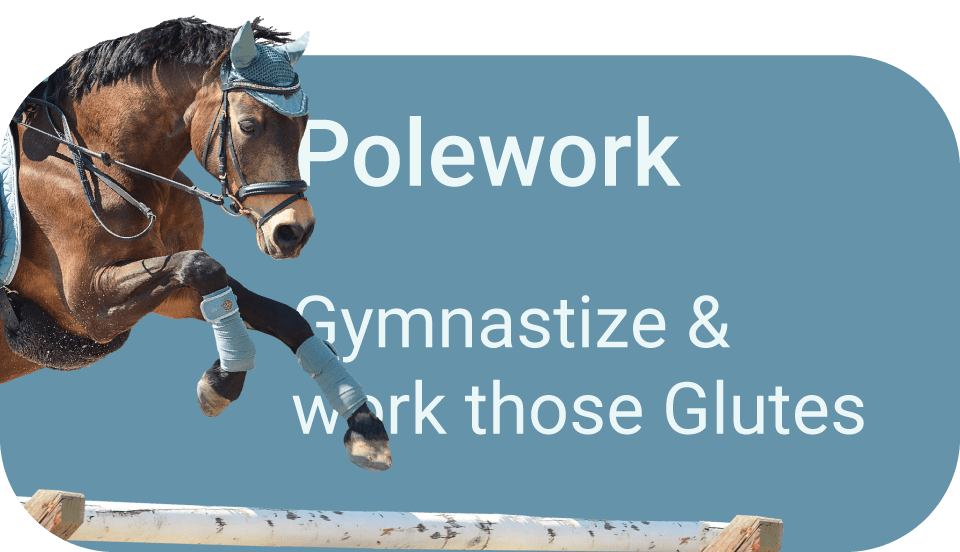 Riding Exercises with poles for horses and ponies for flexibility and hindquarters