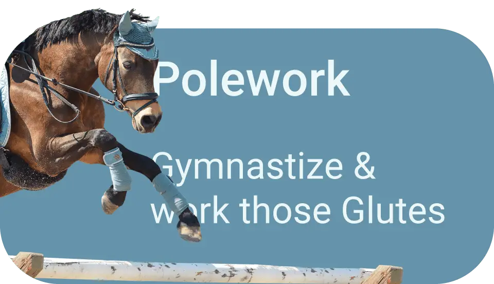 Riding Exercises with poles for horses and ponies for flexibility and hindquarters