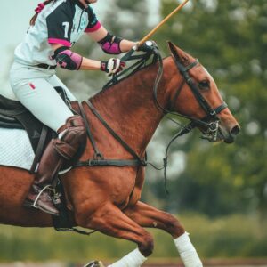 female horse rider and polo pony during polo match