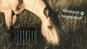 Ein grasendes Pferd. In der linken vorderen Ecke ist eine Weidezeit-Grafik der Happie Horse App eingefügt. Die Überschrift lautet: Weidezeit begrenzen?