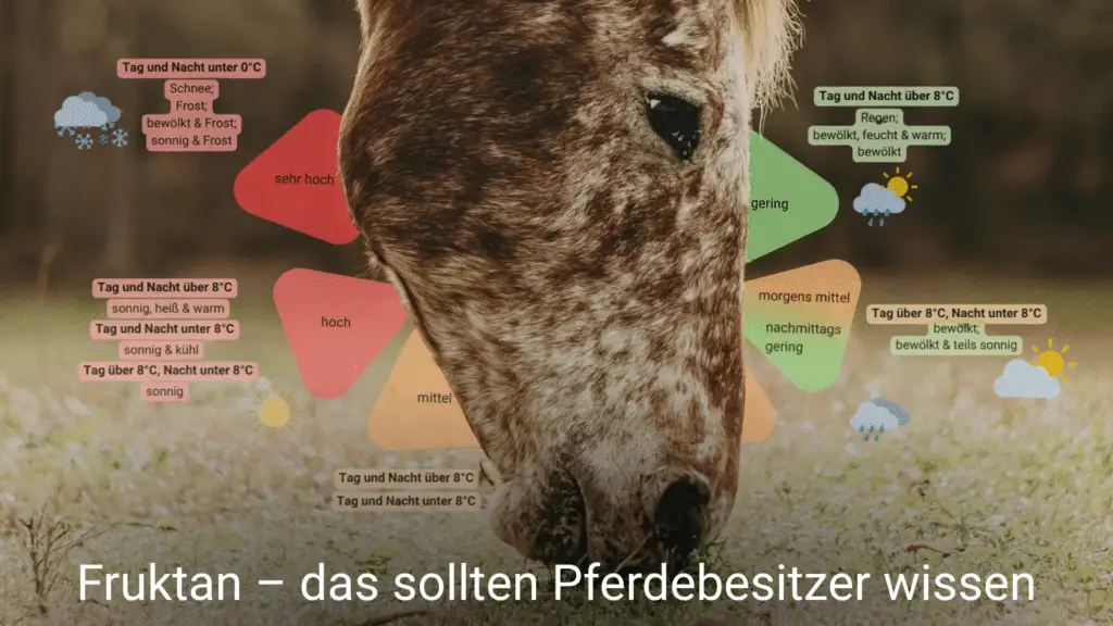 Ein Pferdekopf kommt von oben in der Mitte ins Bild und grast auf einer dürren Wiese. Im Hintergund ist eine Grafik zum Thema Fruktan und Wettereinfluss eingefügt. Die Überschrift lautet: Fruktan - das sollten Pferdebesitzer wissen.