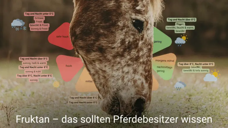 Ein Pferdekopf kommt von oben in der Mitte ins Bild und grast auf einer dürren Wiese. Im Hintergund ist eine Grafik zum Thema Fruktan und Wettereinfluss eingefügt. Die Überschrift lautet: Fruktan - das sollten Pferdebesitzer wissen.