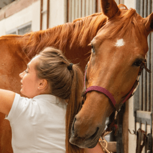 Chestnut horse being brushed by a blonde woman