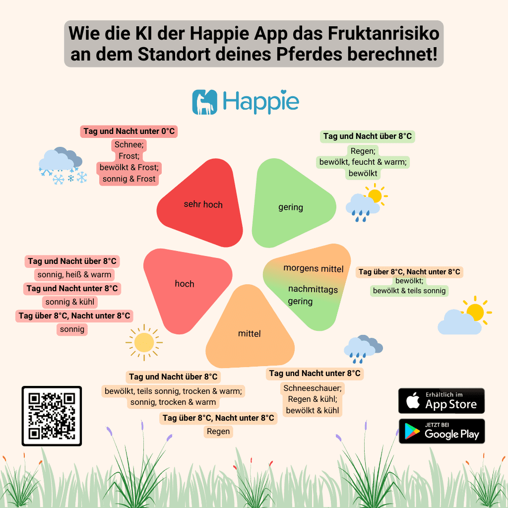 Fruktan - was du als Pferdebesitzer wissen musst