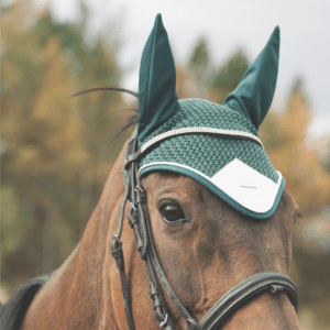 brown horse with a green fly hood covering the ears