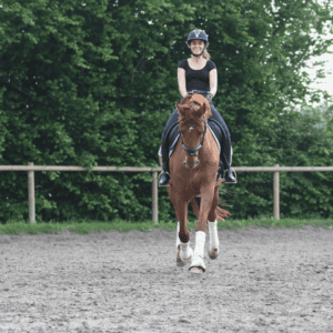 Pferd reitet gerade auf die Kamera zu