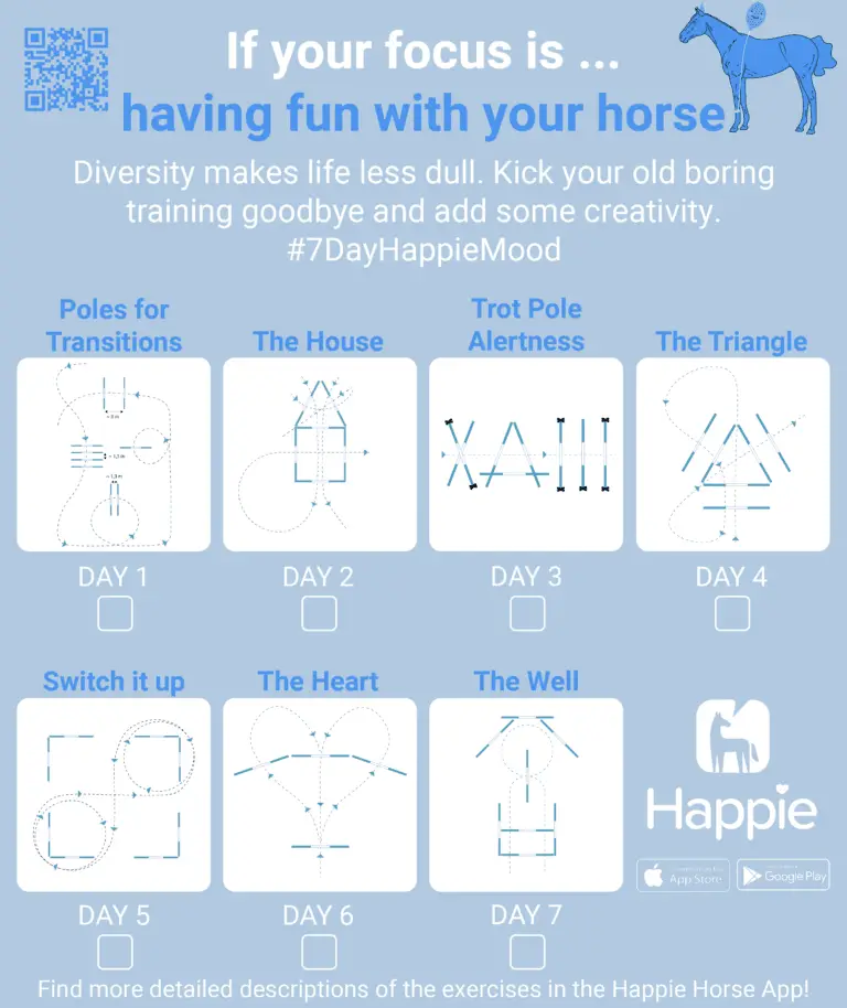 7 day free training program for fun & diverse riding exercises