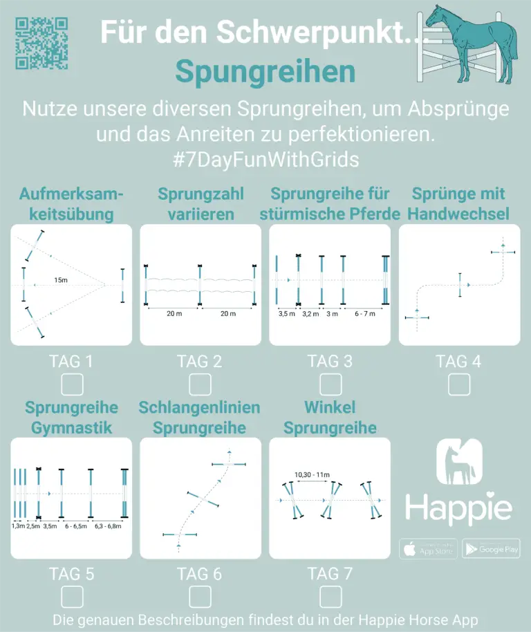 7 Tage kostenloses Trainingsprogramm für Springreiter mit Sprungreihen für stürmische Pferde