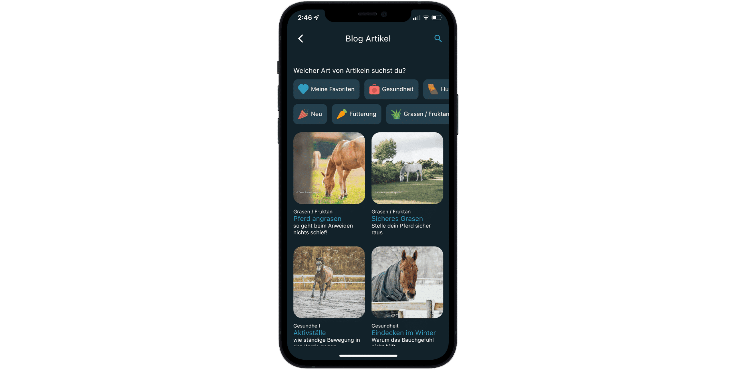 Blogbeiträge Happie Horse App