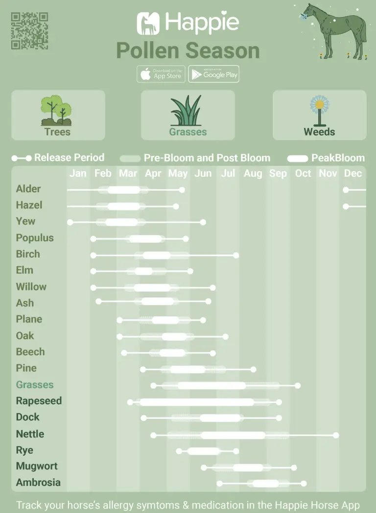 Equine Asthma Preperation Weeds Rye Grasses and Trees