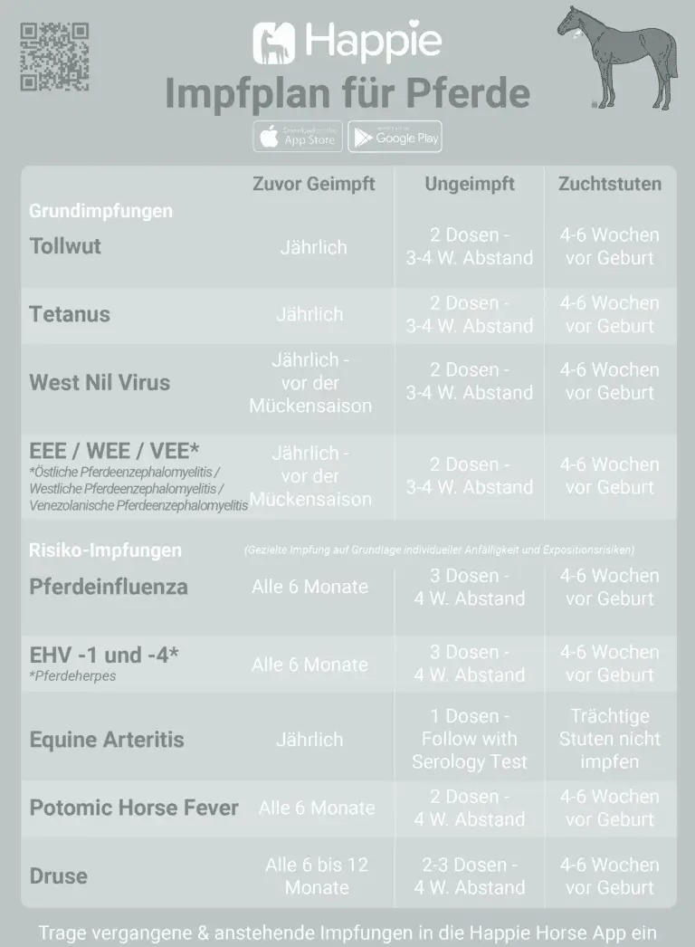 Kernimpfungen Grundimpfung Risiko-basierte Impfungen EHV Influenza Tollwut Druse Arteritis Tetanus EEE WEE