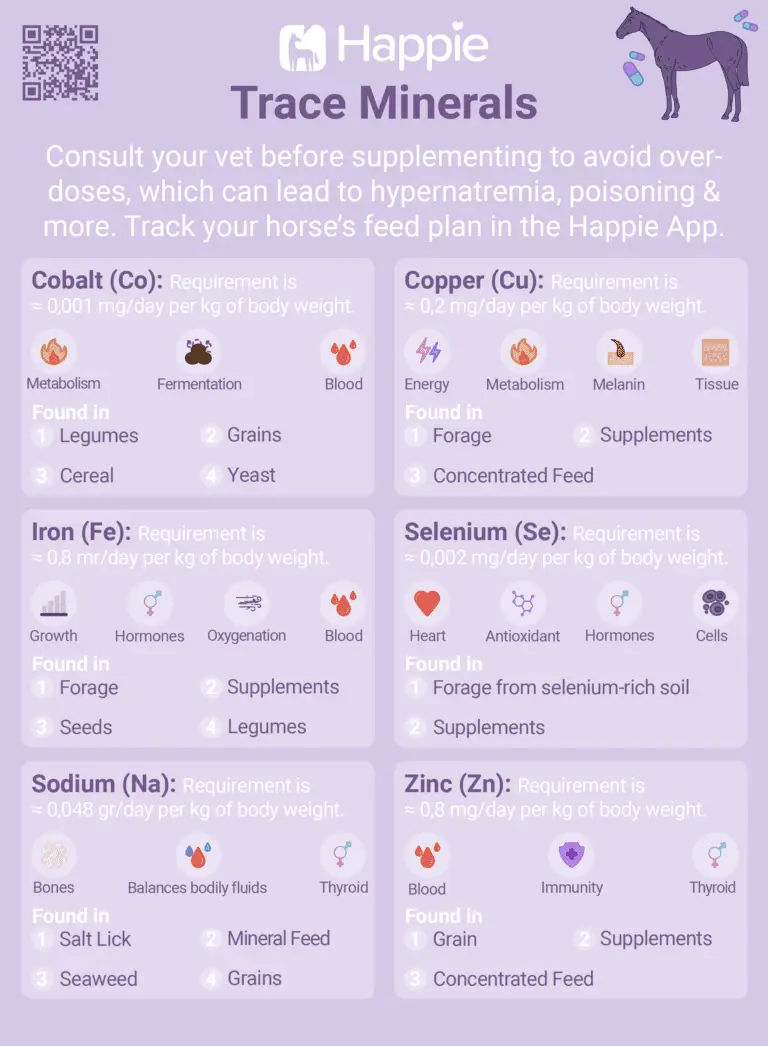 Copper Iron Sodium Selenium Zinc Requirements for Horses