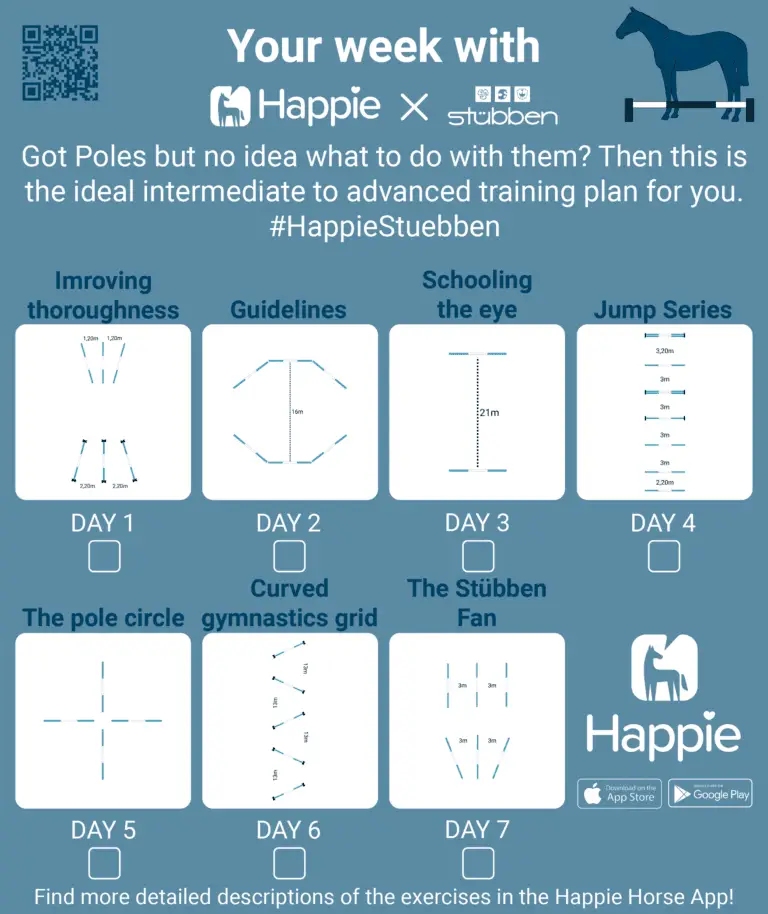 Pole Exercises for horses and ponies with stuebben stübben