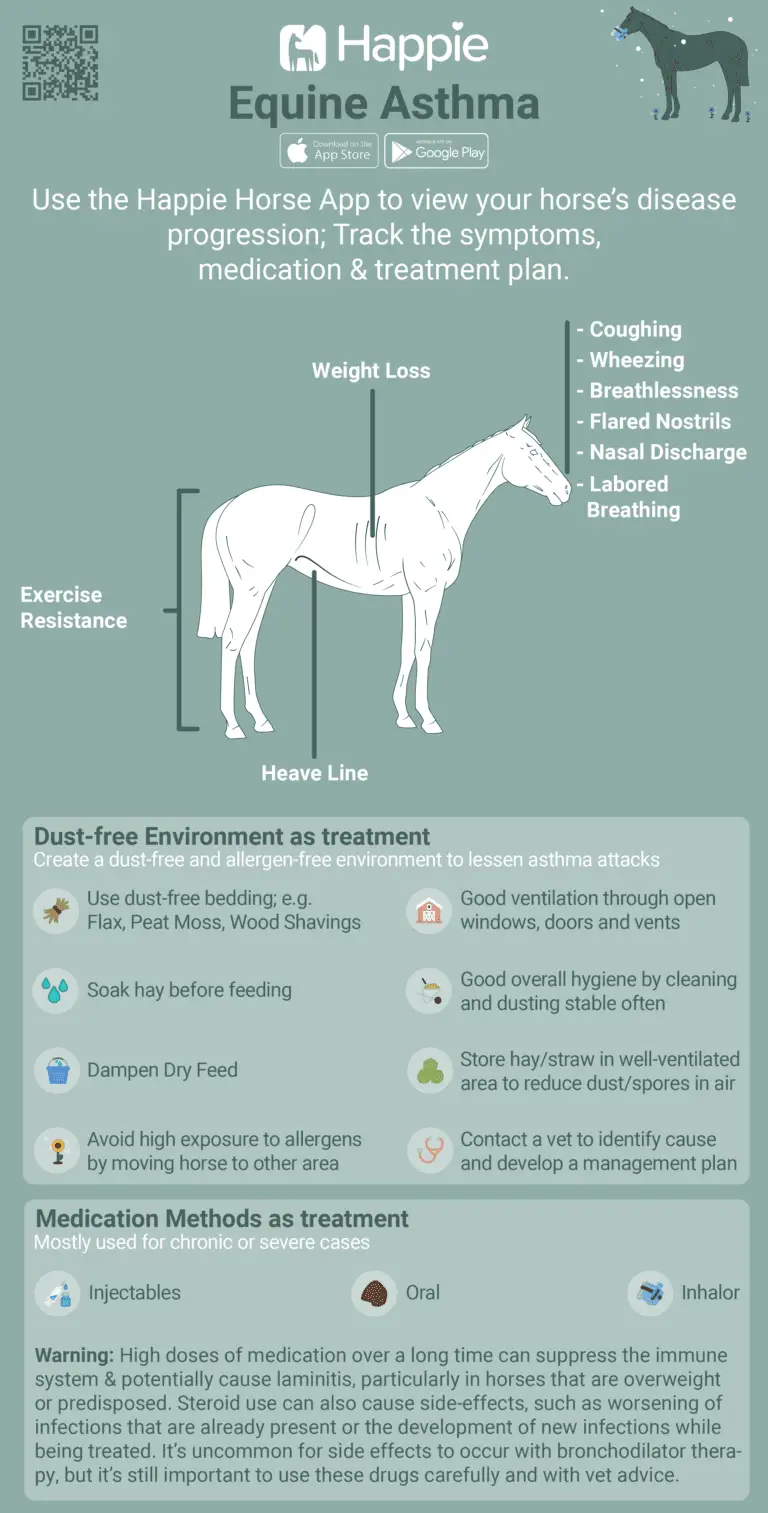 Horse Heaves Symptoms Treatment Medication Inhalation Soak Hay Dust-free environment allergies allergy pollen