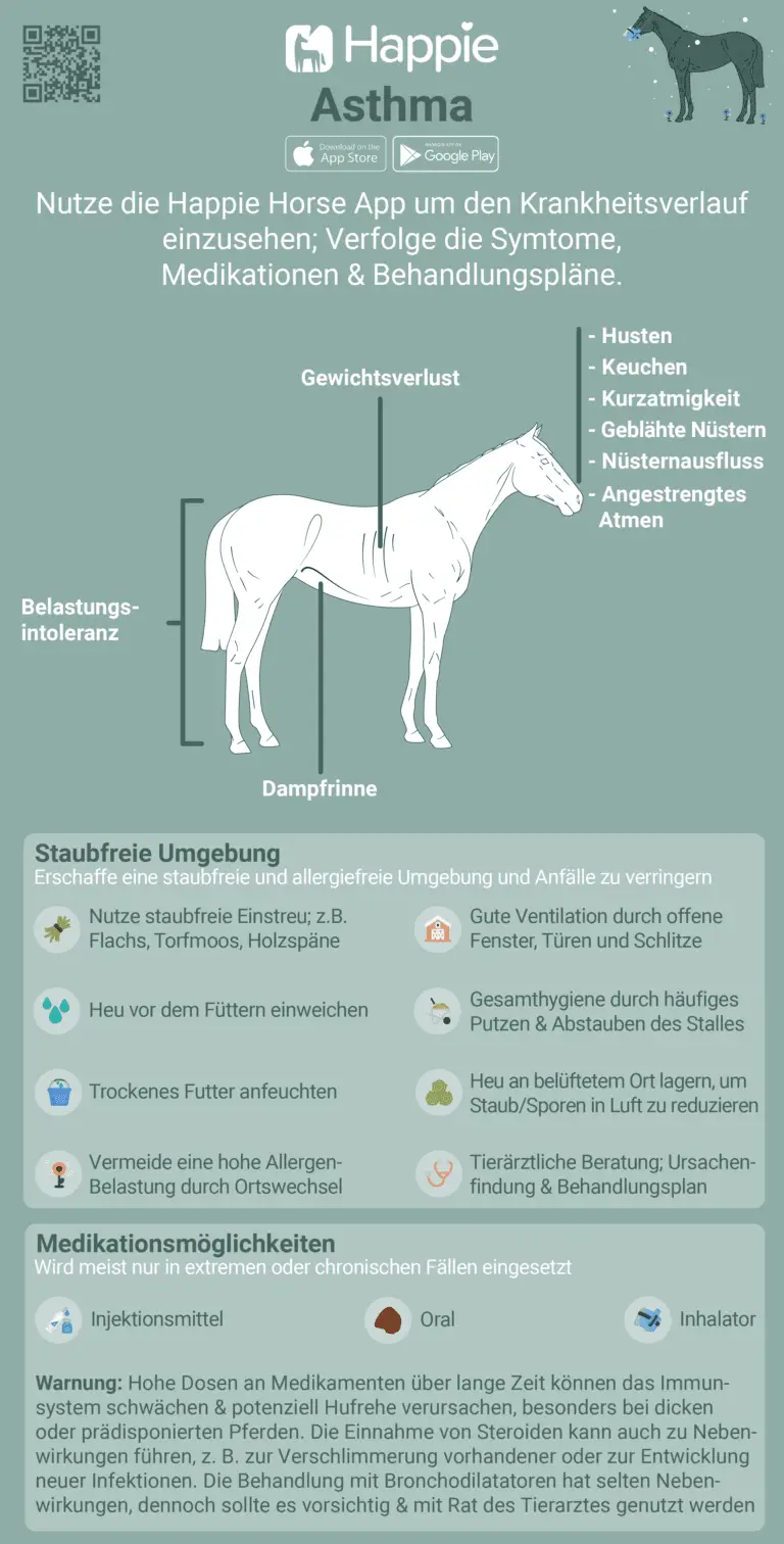 Symptome des Equiden Asthma und Behandlung