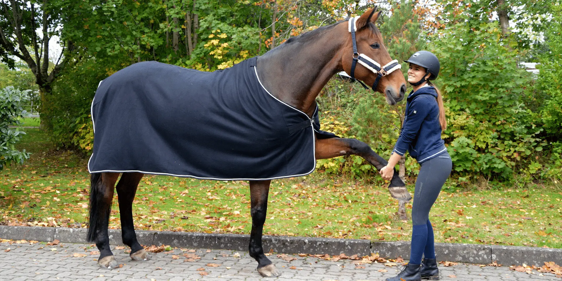 Wie dehne ich mein Pferd