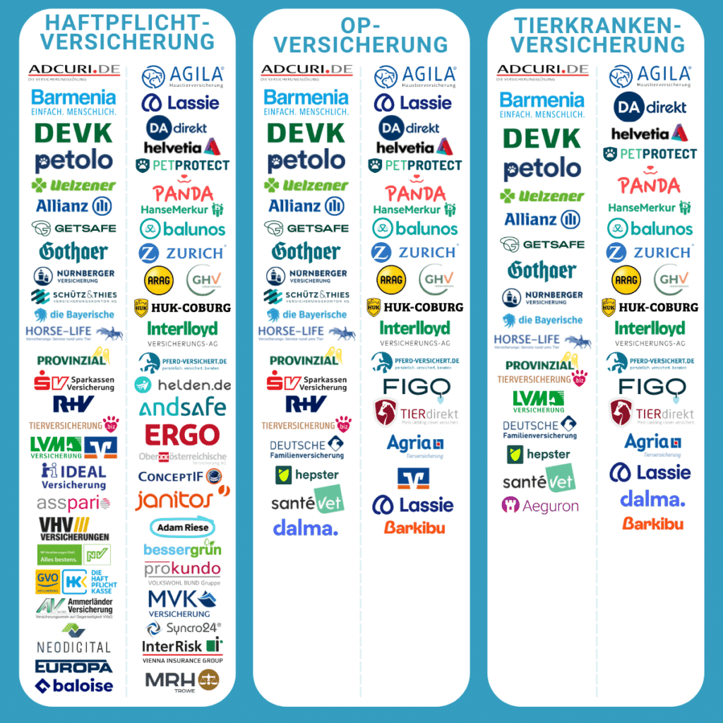 Hund Versicehrung Vergleich Übersicht Haftpflichtversicherung Op-Versicherung Operatiosversicherung Tierkrankenversicherung Hundekrankenversicherung