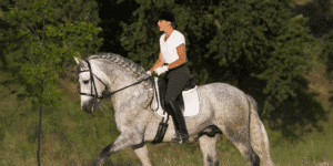 Eine Reiterin auf einem Pferd