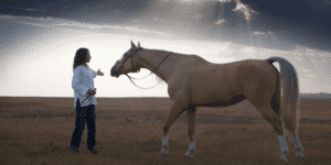 Ein Pferd mit seiner Besitzerin
