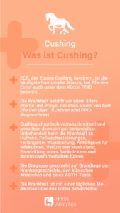 Was ist Cushing, cushing beim pferd, ppid pferd