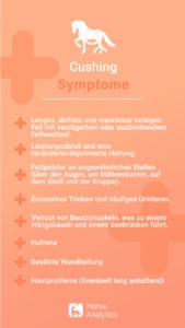 Wie zeigt sich Cushing beim Pferd, Cushing Symptome, Cushing Pferd erkennen
