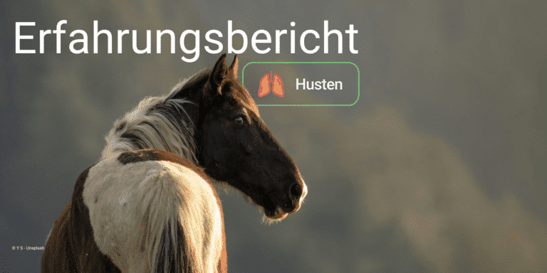 Erfahrungsbericht - Husten beim Pferd