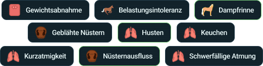 Atemwegssymptme in der Happie Horse App