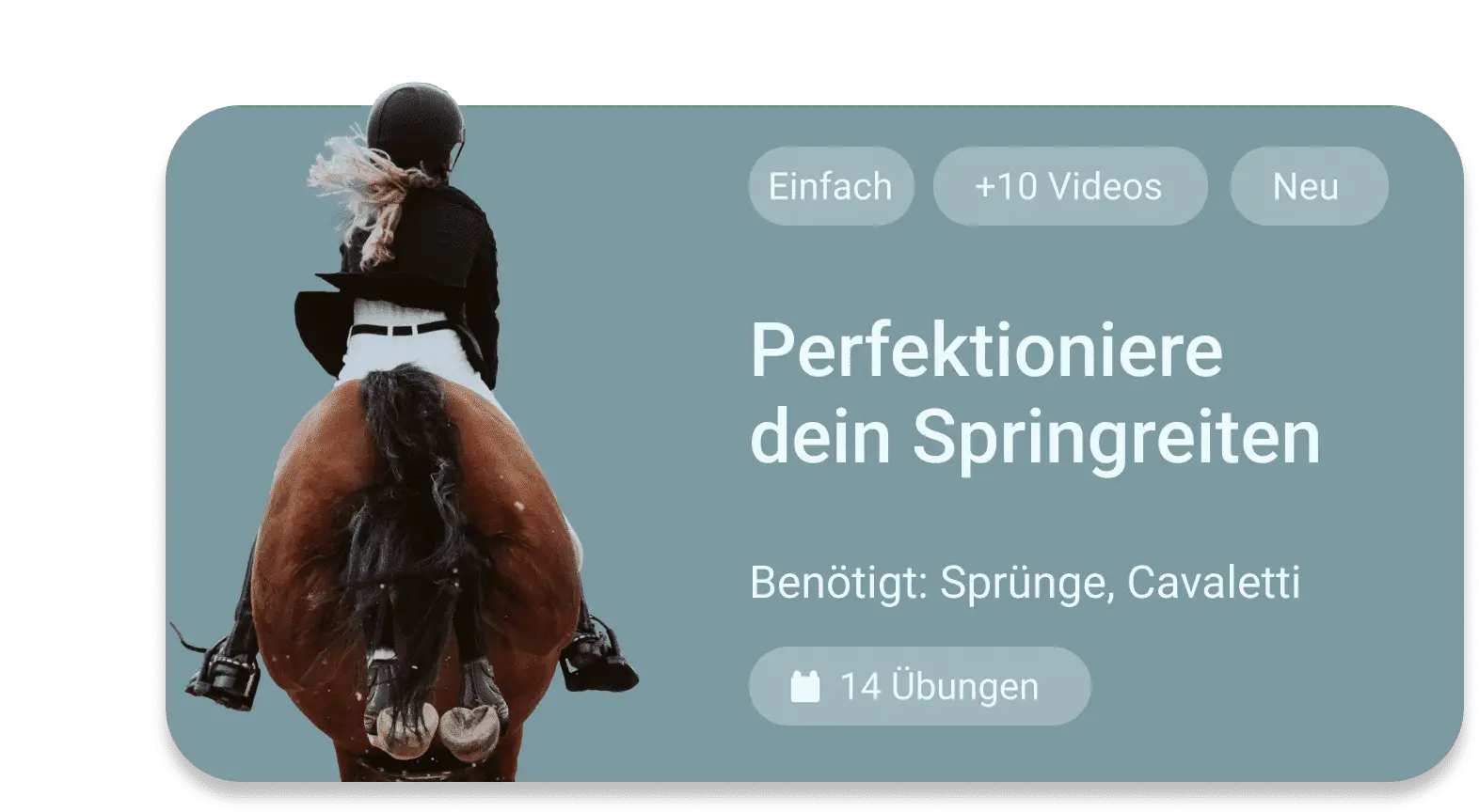 springreiten übungen kostenlos app