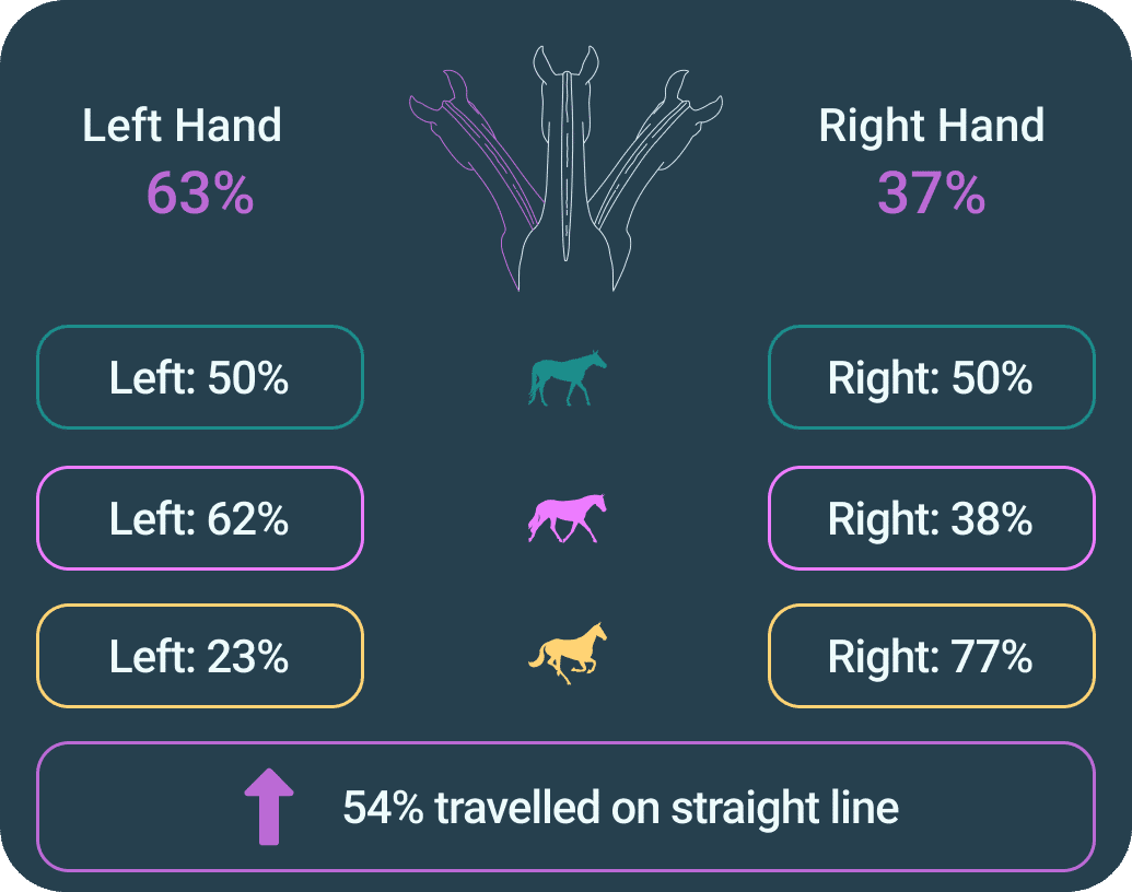 Left to right hand ratio riding horse gait analysis training ride tracking
