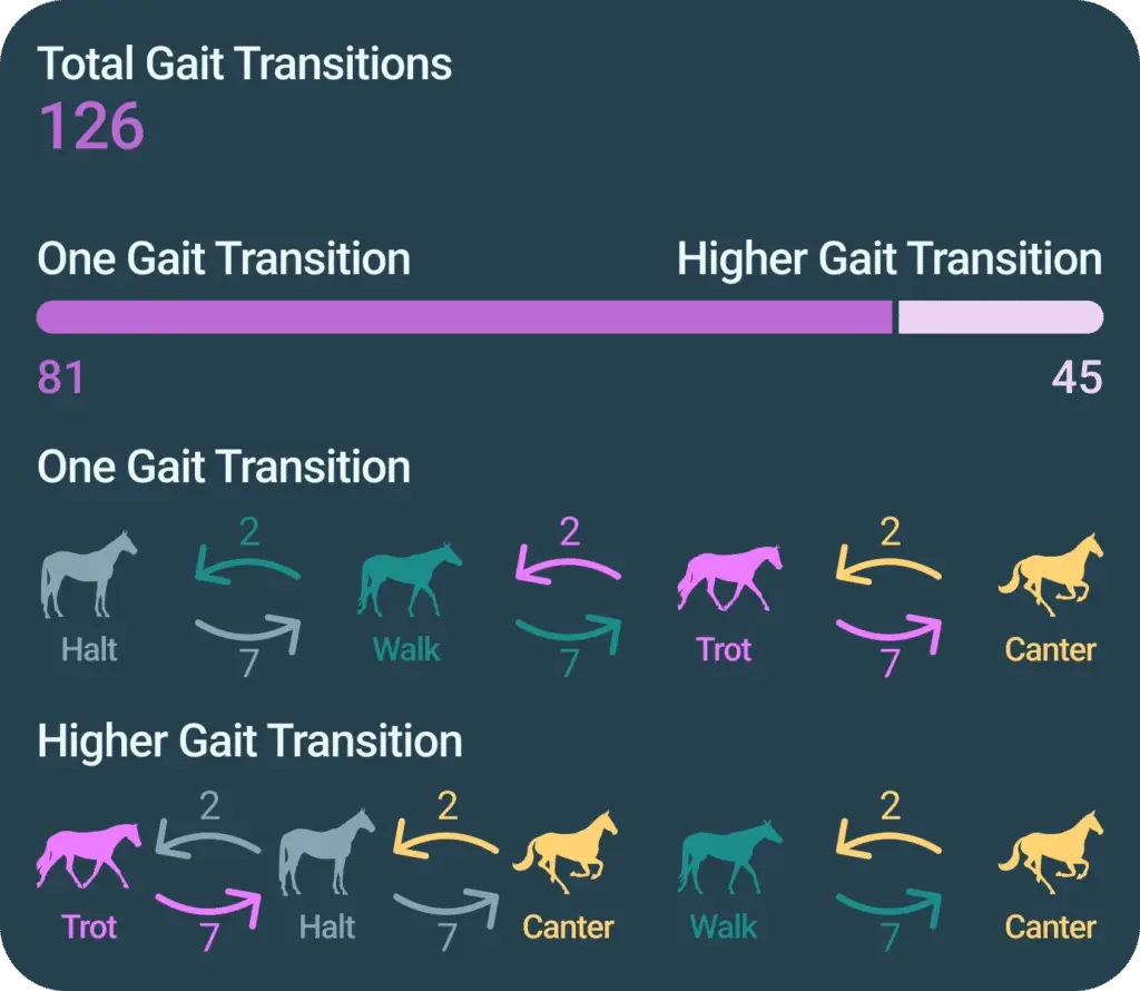 Left to right hand ratio riding horse gait analysis training ride tracking