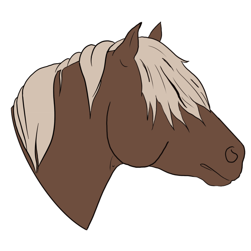 top 10 breeds in happie horse app for management and training icelandic horse
