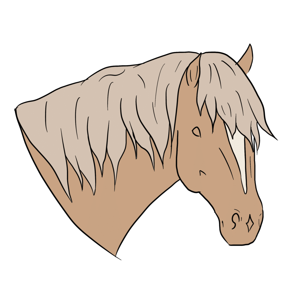 top 10 breeds in happie horse app for management and training haflinger