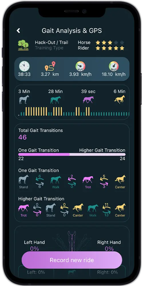 Left to right hand ratio riding horse gait analysis training ride tracking