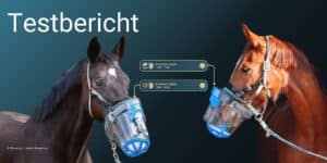 Testbericht-Titelbild. Darauf zu sehen sind zwei inhalierende Pferde mit dem SaHoMa-II von NEBU-TEC. Zwischen ihnen sind zwei To-Do-Widgets aus der Happie Horse App.