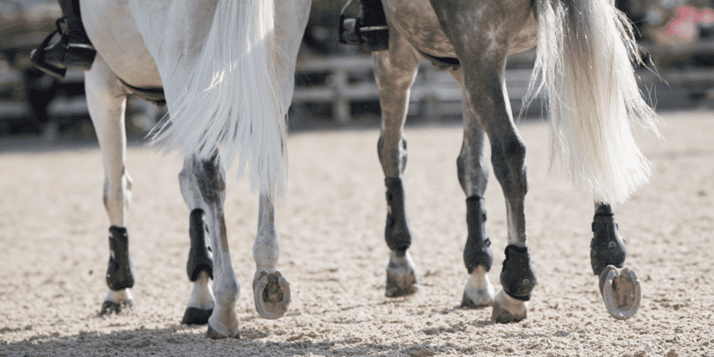 Splint exostoses in horses involve bony growths on the splint bones, often due to inflammation or injury, causing pain and lameness.