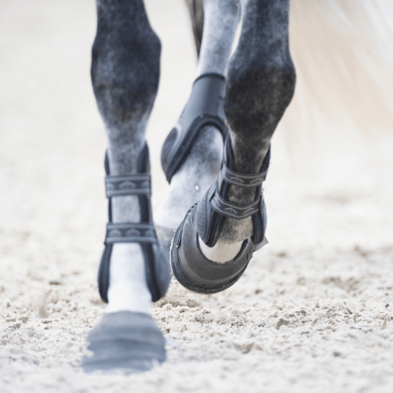 Synovitis in horses is the inflammation of the synovial membrane within joints, resulting in pain, swelling, and decreased mobility.