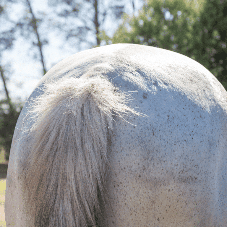 Salmonellosis in horses is a bacterial infection causing severe diarrhea, fever, and dehydration, requiring prompt treatment.