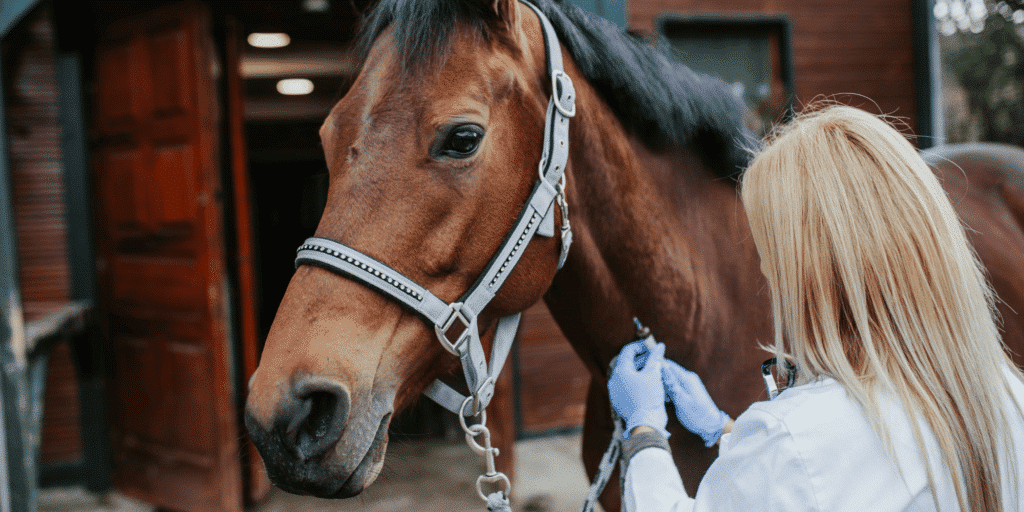 Strongyloides in horses is a parasitic infection causing diarrhea, weight loss, and weakness, particularly in foals.