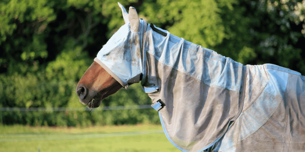 West-Nil-Virus /West Nile Virus in horses is a mosquito-borne disease causing neurological symptoms such as fever, ataxia, and muscle weakness.