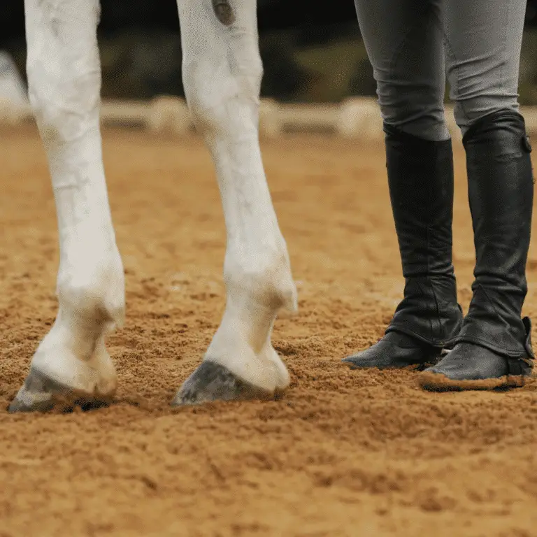 Bursitis in horses is the inflammation of a bursa, typically causing pain, swelling, and lameness in the affected joint.