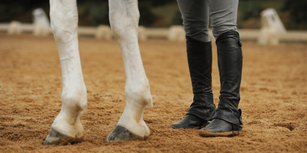 Bursitis in horses is the inflammation of a bursa, typically causing pain, swelling, and lameness in the affected joint.