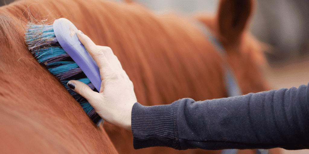 Epizootic lymphangitis is a contagious fungal disease in horses characterized by nodules and abscesses on the skin and lymphatic vessels, often leading to chronic and debilitating infections.