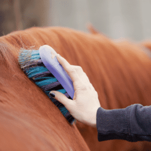 Epizootic lymphangitis is a contagious fungal disease in horses characterized by nodules and abscesses on the skin and lymphatic vessels, often leading to chronic and debilitating infections.